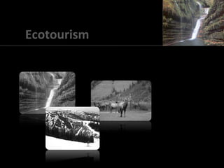Ecotourism
 