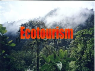 Ecotourism 