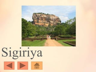 Sigiriya
 