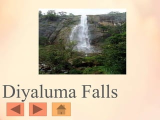 Diyaluma Falls
 