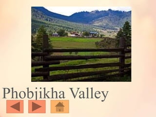 Phobjikha Valley
 
