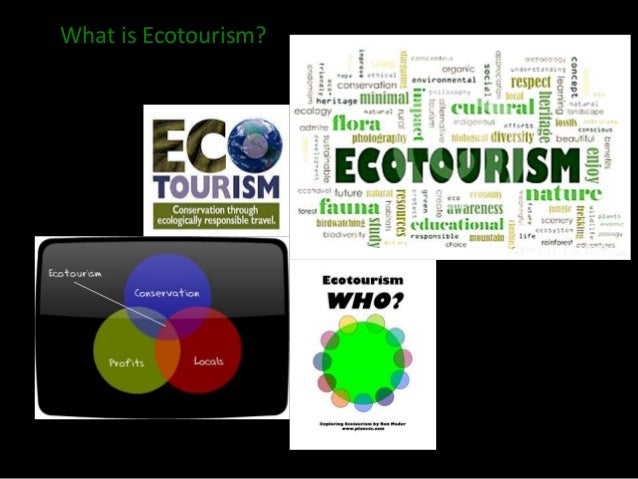 What is ecotourism?