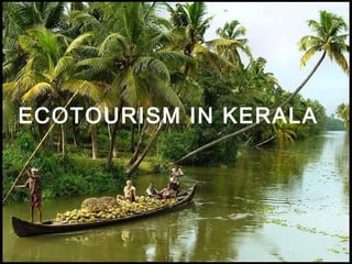 Ecotourism and its perspects in kerala | PPT