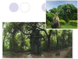 Ecotourism and its perspects in kerala | PPT