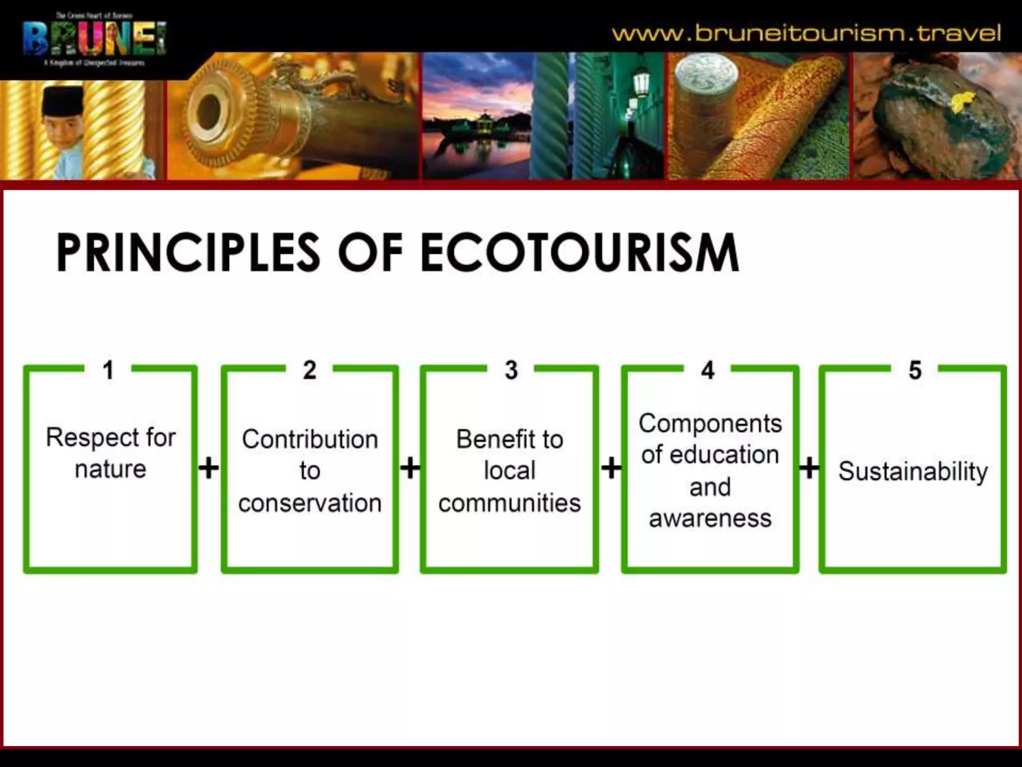 Slide 11