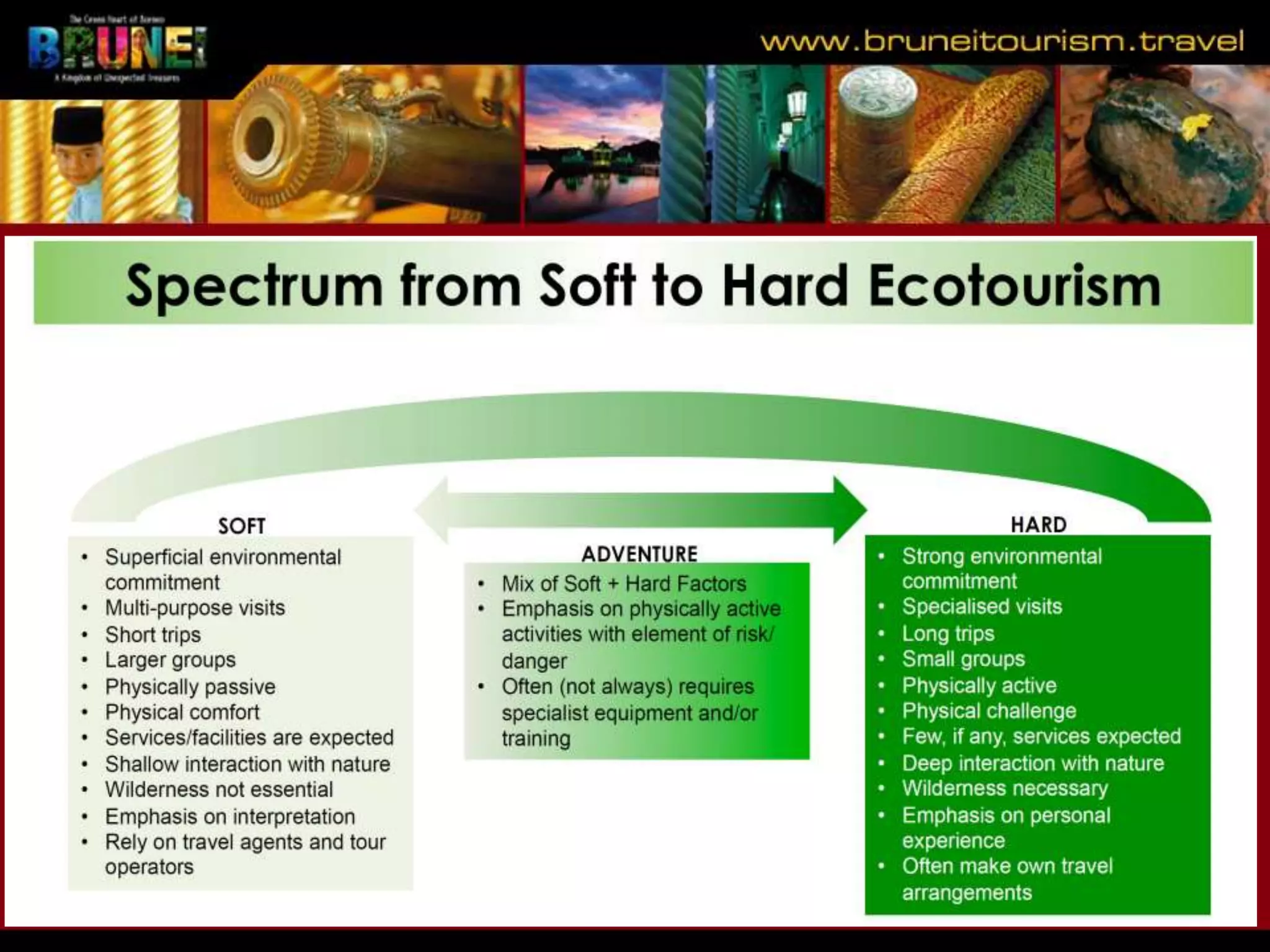 Slide 12