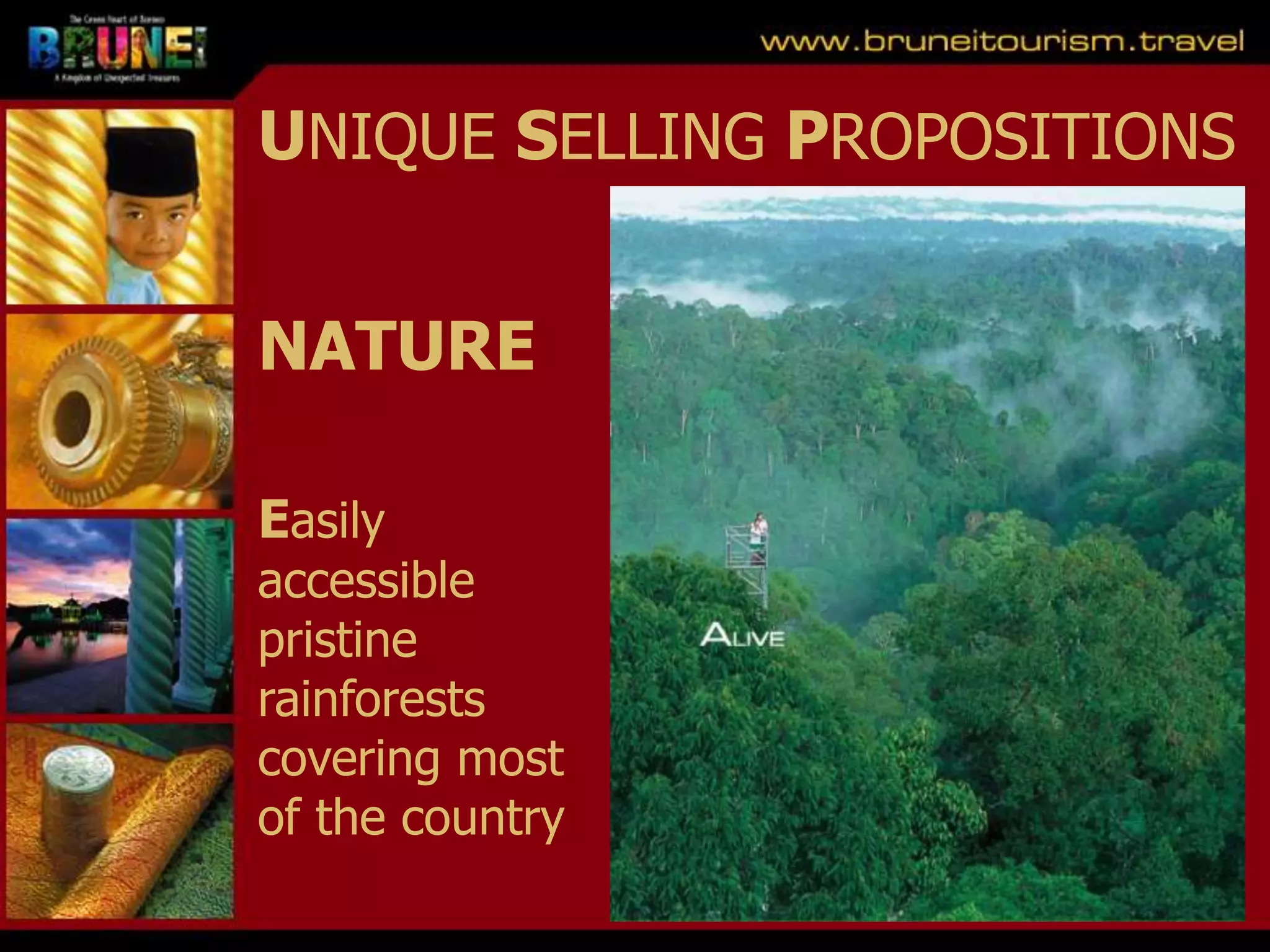 Slide 14