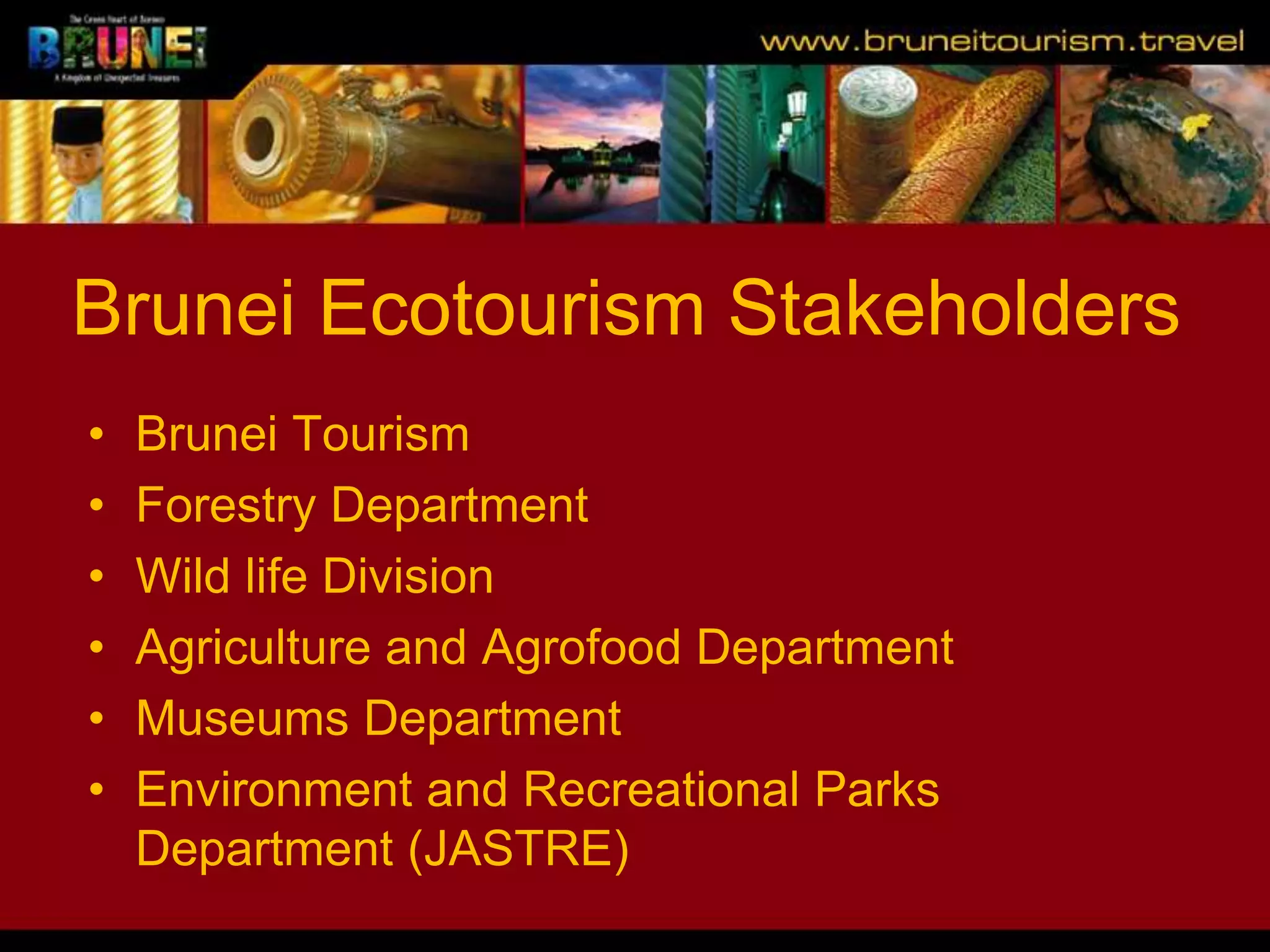 Slide 16