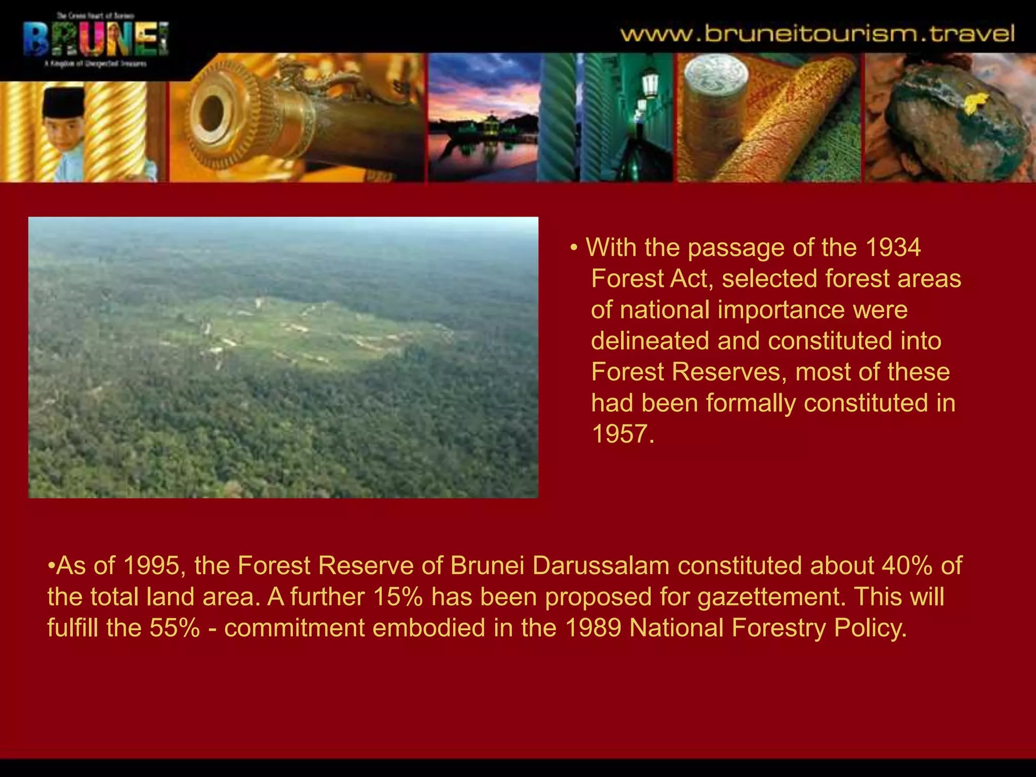 Slide 18