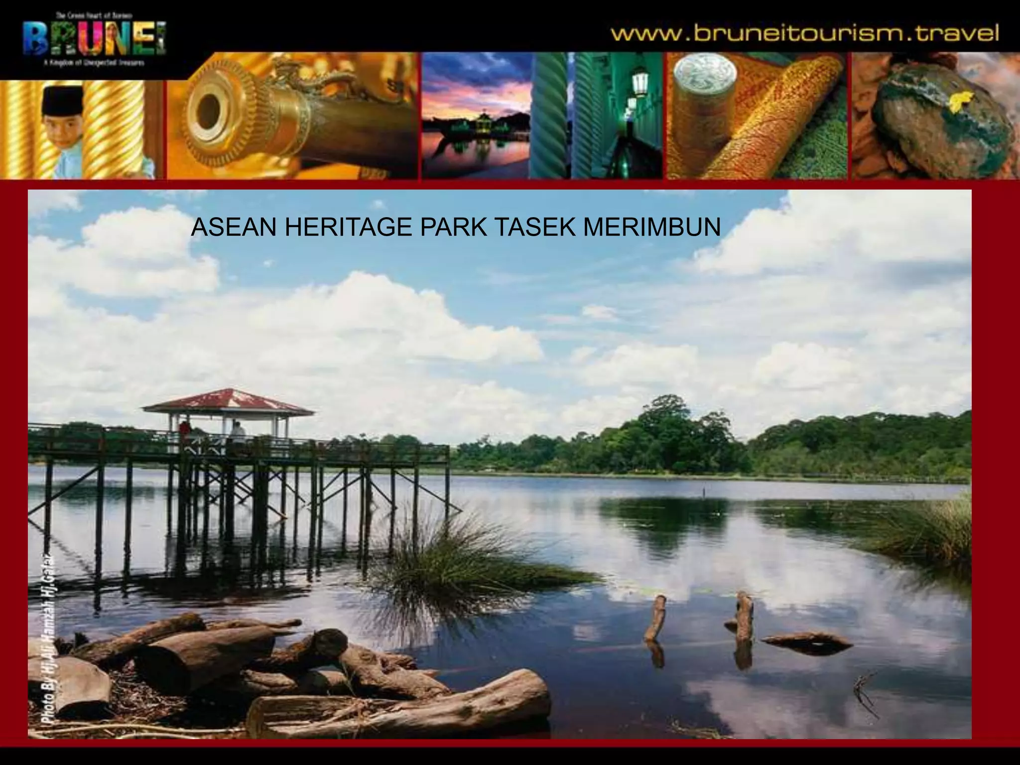 Slide 21