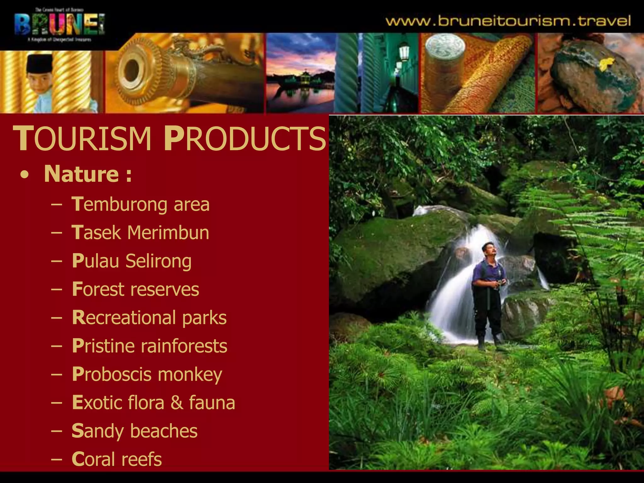 Slide 22