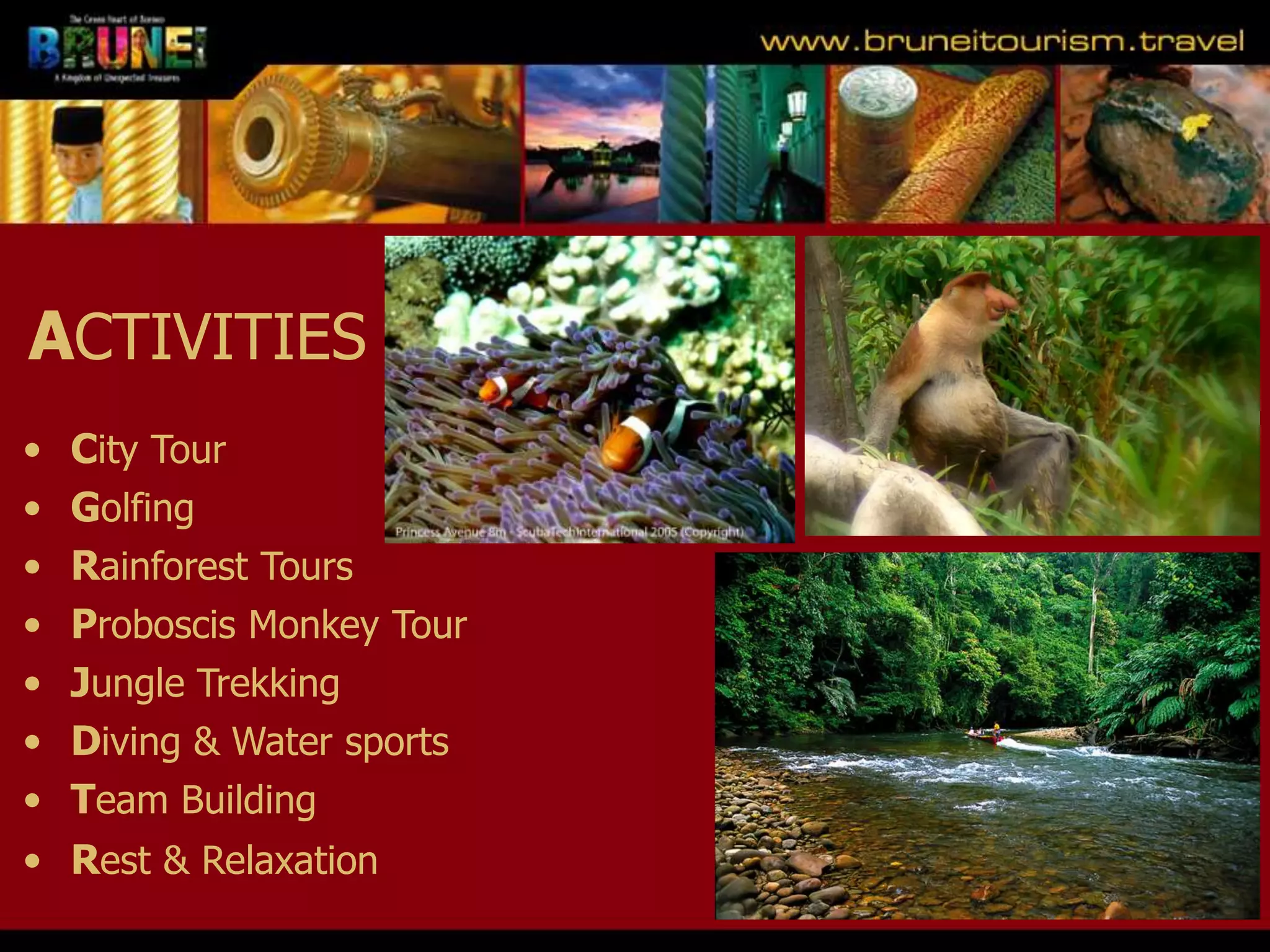 Slide 23
