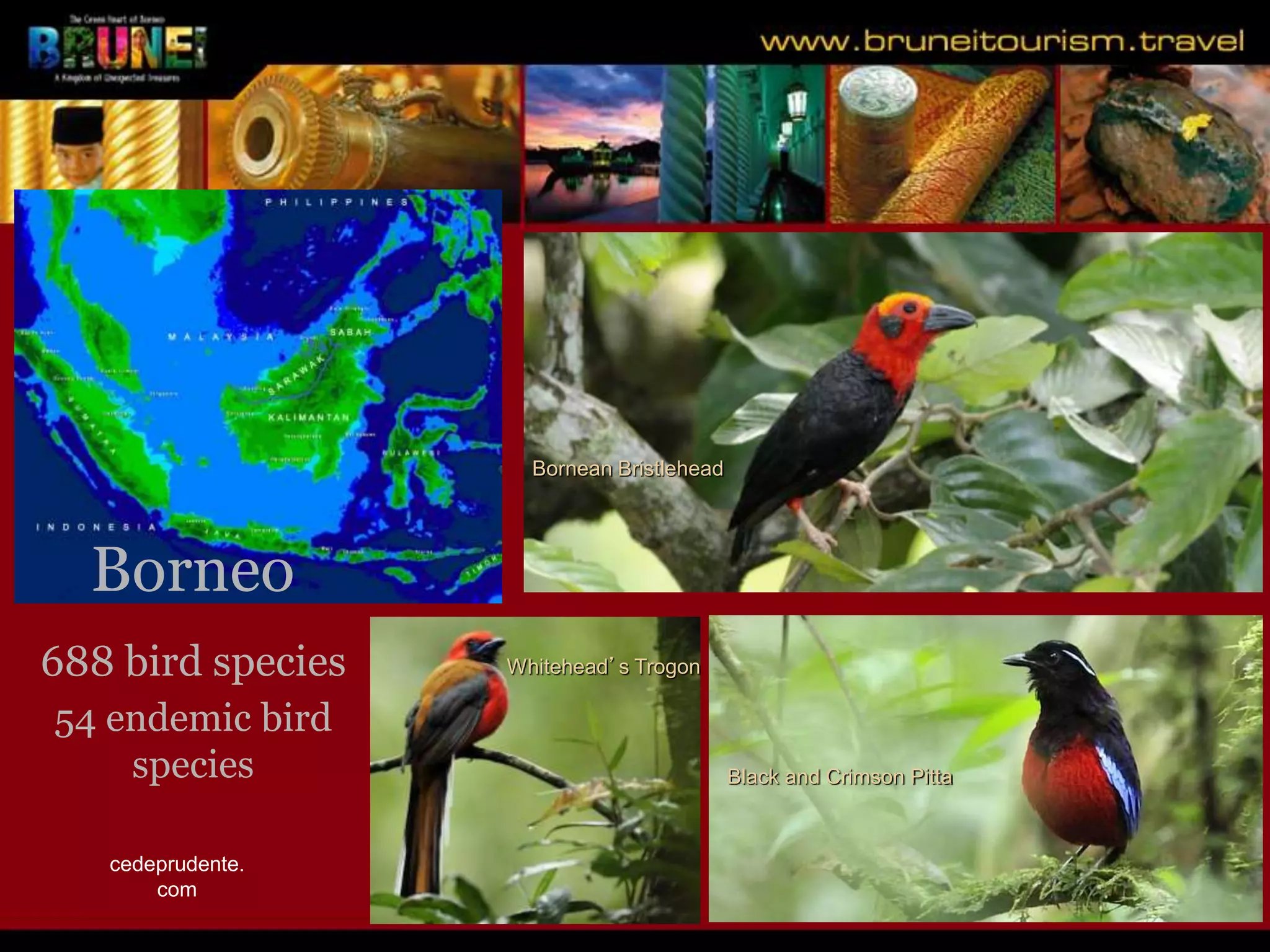 Slide 24