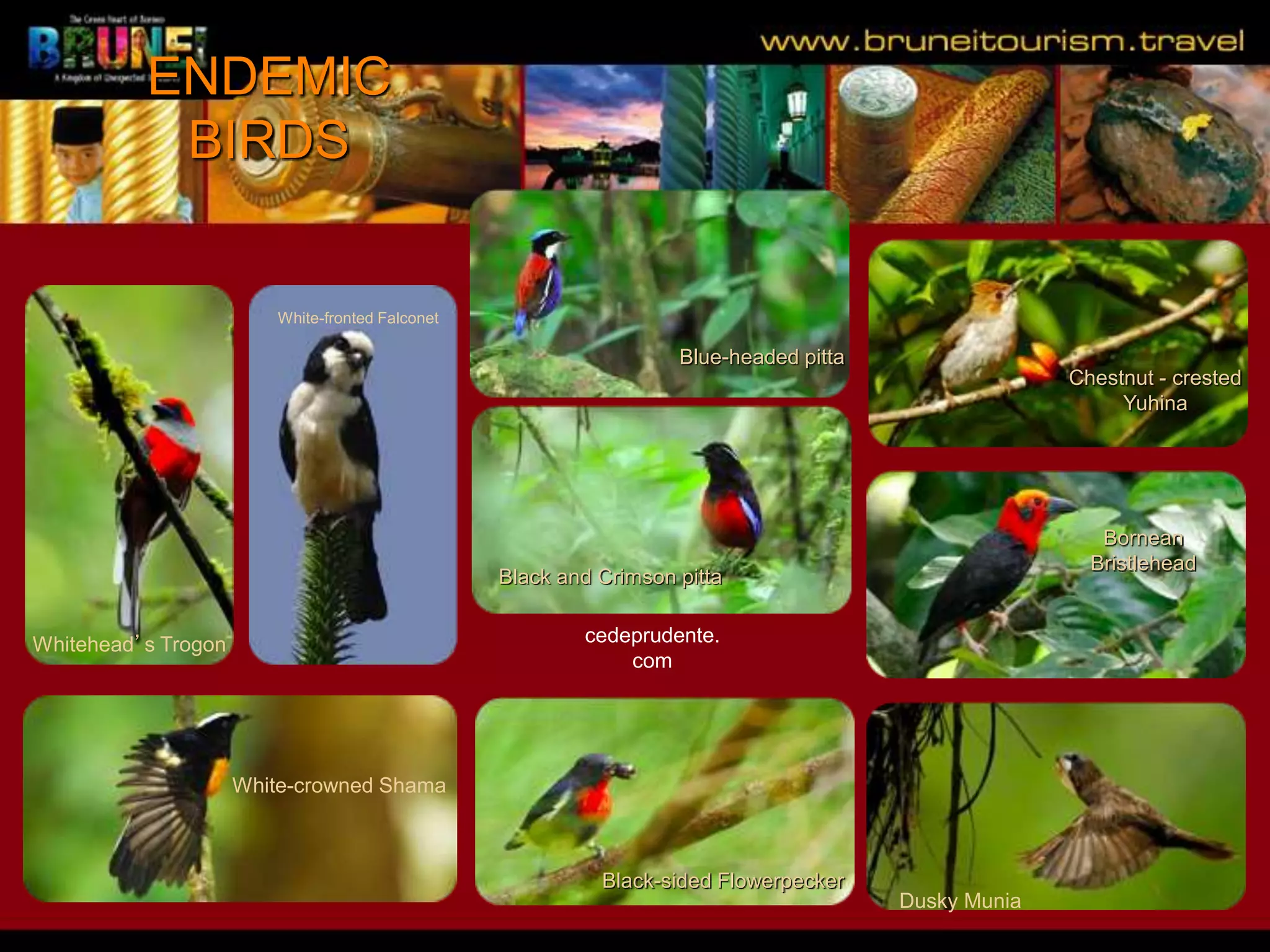 Slide 25