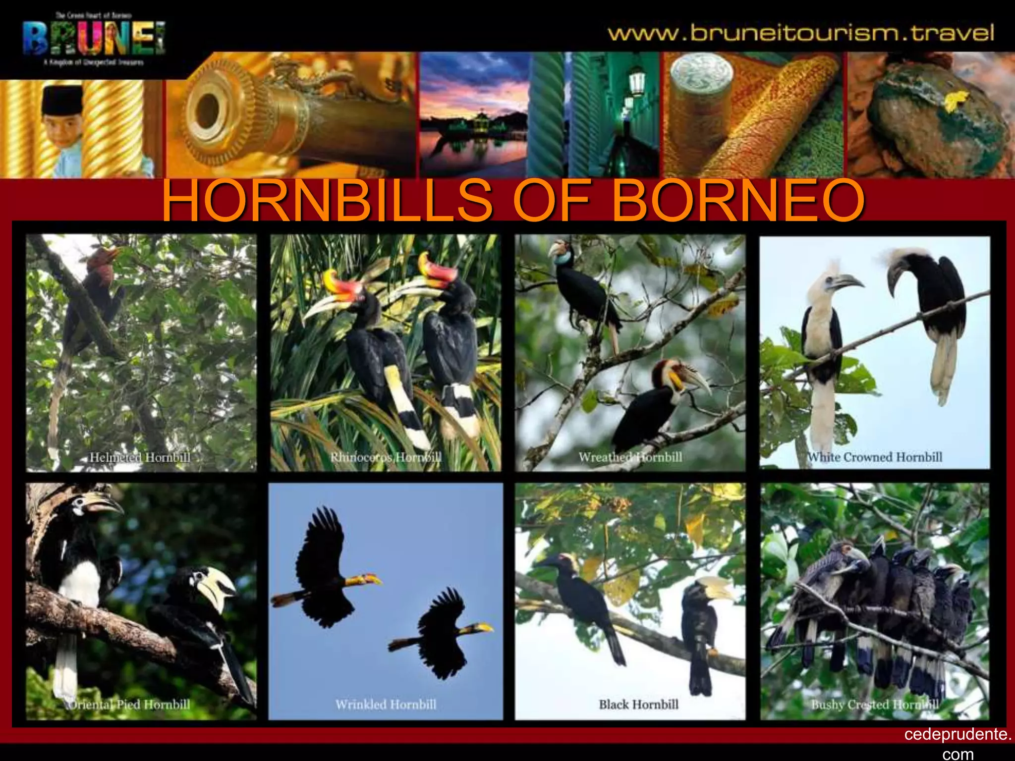 Slide 26