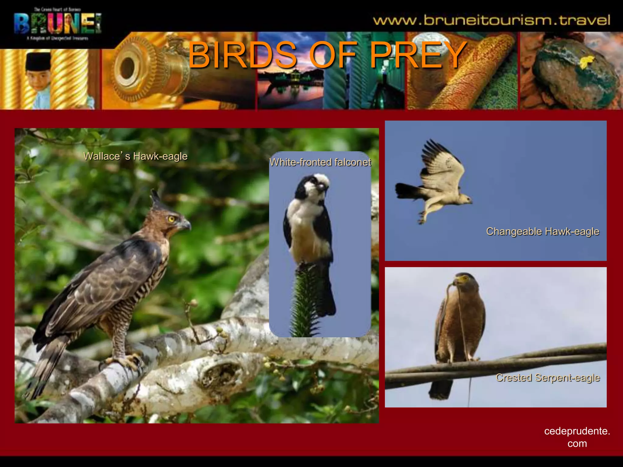 Slide 27