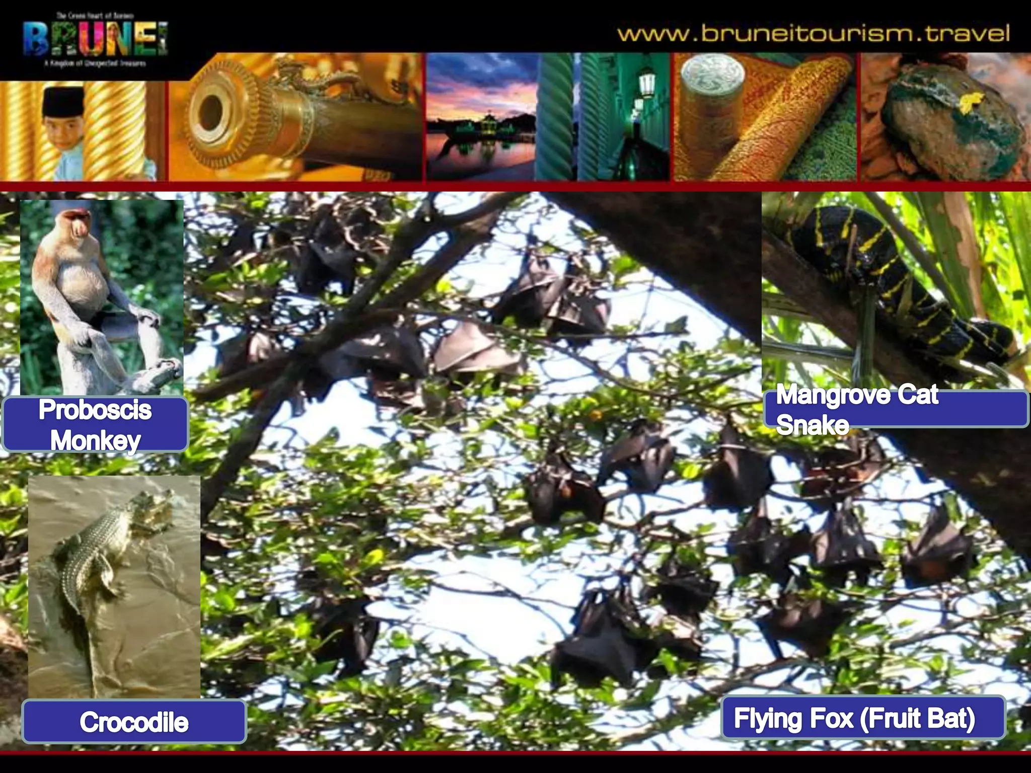 Slide 29