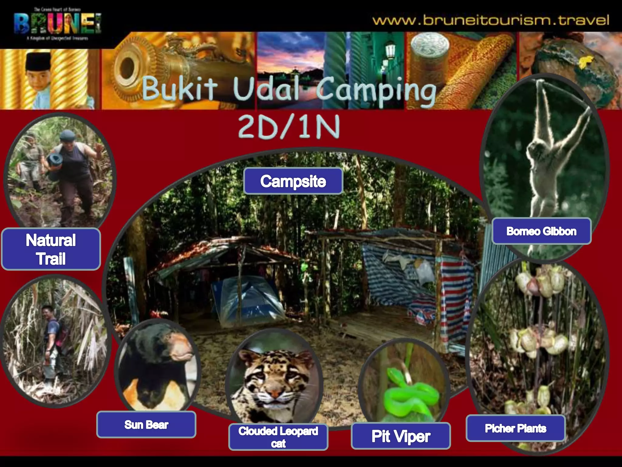 Slide 30