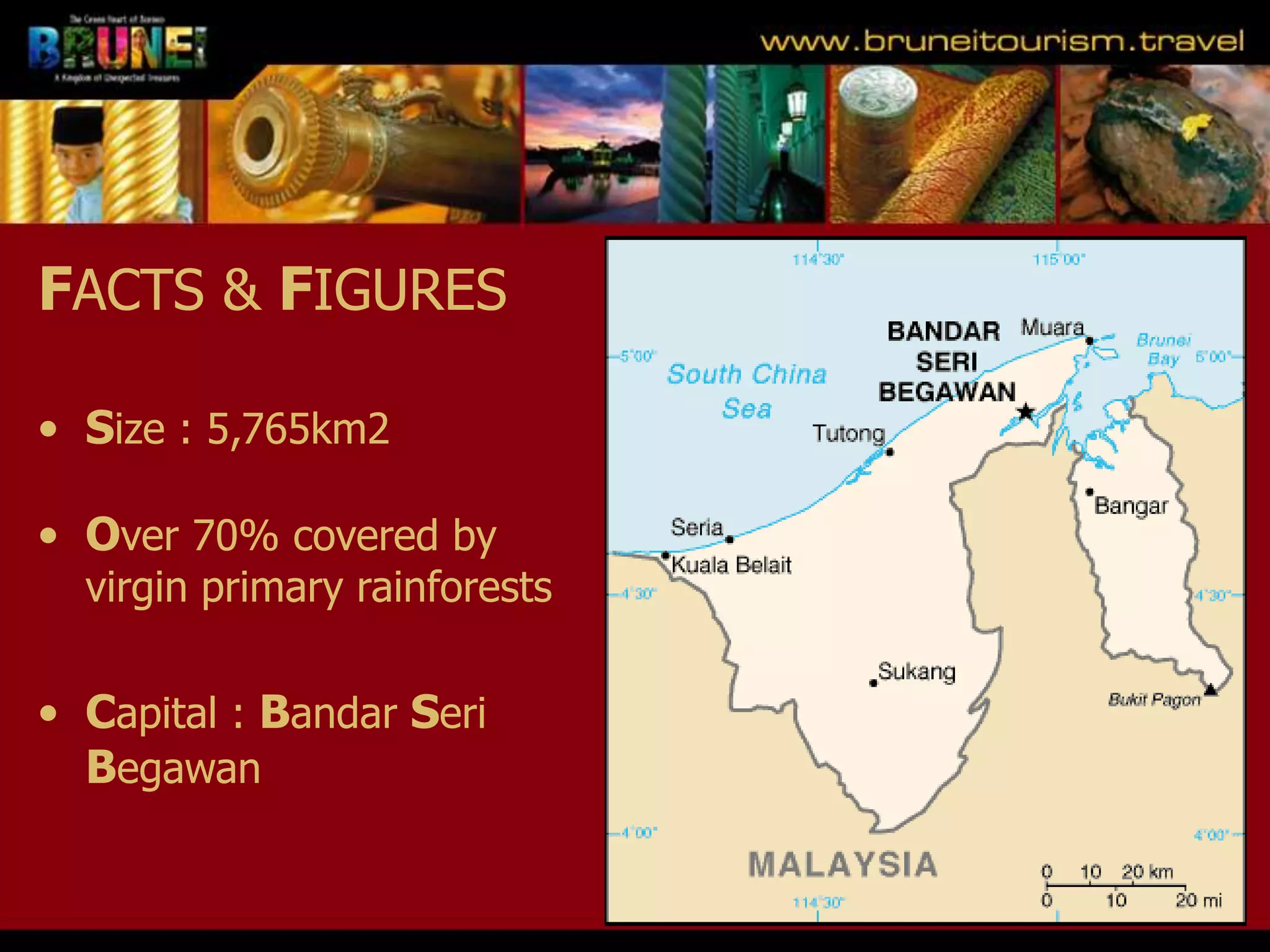 Slide 4