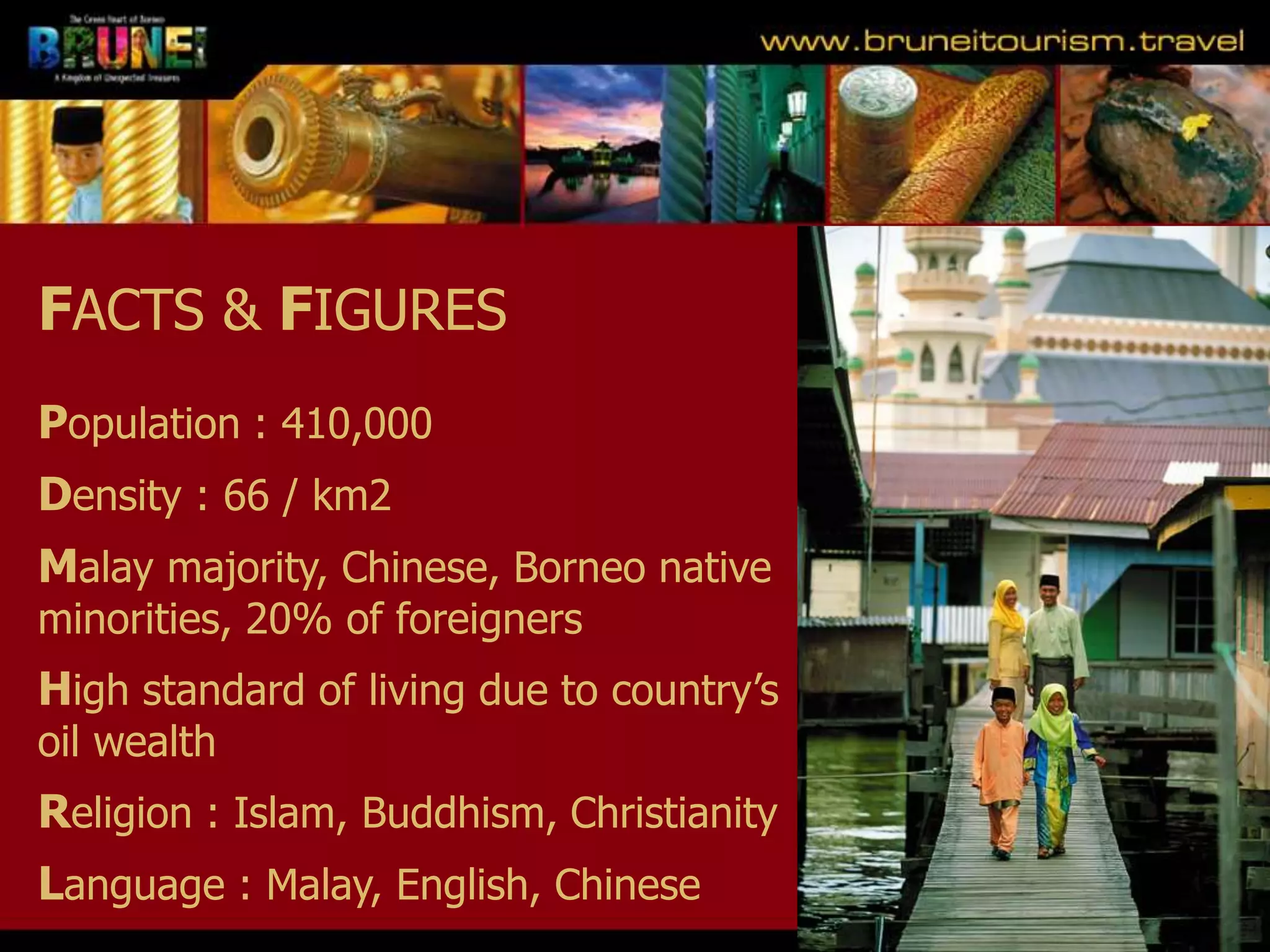 Slide 5