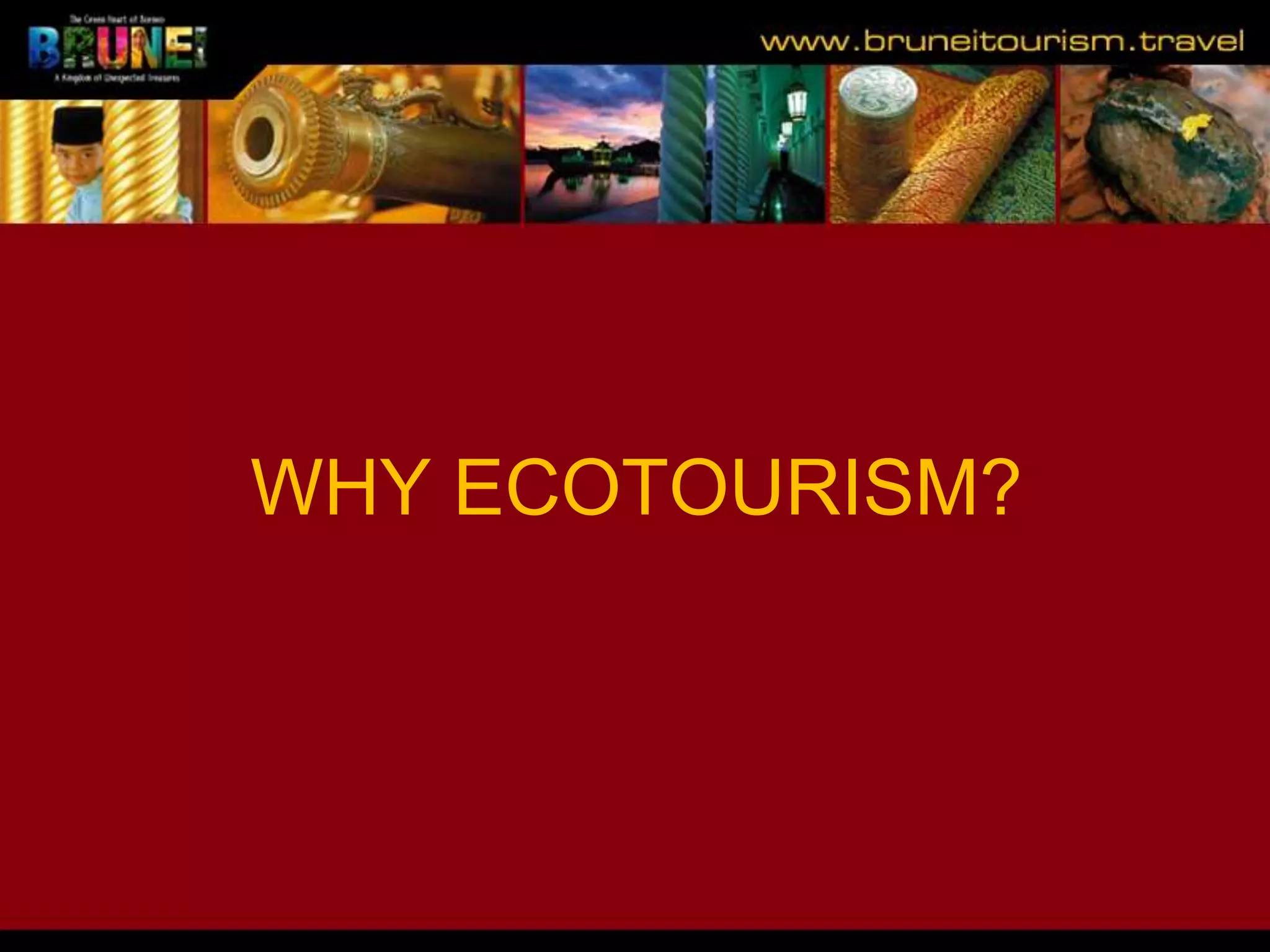Slide 8