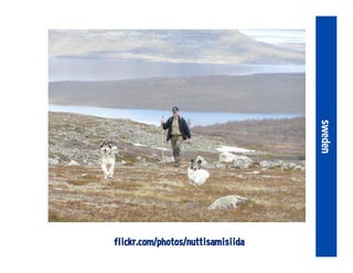 flickr.com/photos/nuttisamisiida
sweden
 