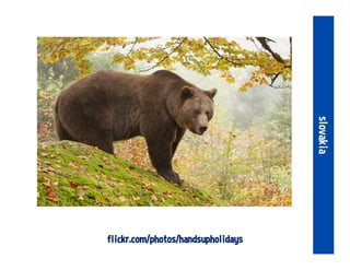 flickr.com/photos/handsupholidays
slovakia
 