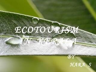 Eco tourism in kerala | PPT