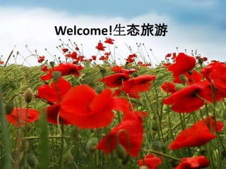 Welcome!生态旅游 