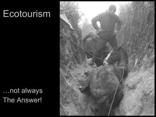 Ecotourism … not always  The Answer! 