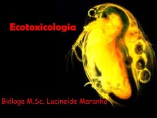 Ecotoxicologia

Bióloga M.Sc. Lucineide Maranho

 