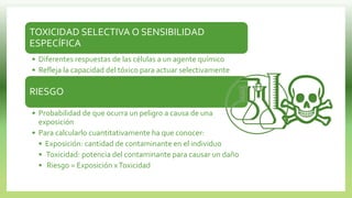 TOXICIDAD SELECTIVA O SENSIBILIDAD
ESPECÍFICA
• Diferentes respuestas de las células a un agente químico
• Refleja la capacidad del tóxico para actuar selectivamente
RIESGO
• Probabilidad de que ocurra un peligro a causa de una
exposición
• Para calcularlo cuantitativamente ha que conocer:
• Exposición: cantidad de contaminante en el individuo
• Toxicidad: potencia del contaminante para causar un daño
• Riesgo = Exposición xToxicidad
 