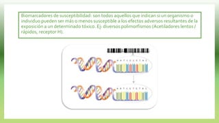 Biomarcadores de susceptibilidad: son todos aquellos que indican si un organismo o
individuo pueden ser más o menos susceptible a los efectos adversos resultantes de la
exposición a un determinado tóxico. Ej: diversos polimorfismos (Acetiladores lentos /
rápidos, receptor H).
 