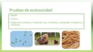 Pruebas de ecotoxicidad
• Aguda
• Crónica
• Organismos terrestres, incluyendo aves, mamíferos, arthoprodos no-objetivo, y
lombrices
 