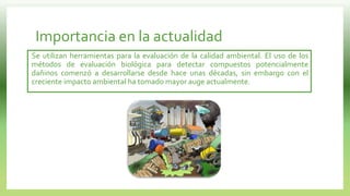 Importancia en la actualidad
Se utilizan herramientas para la evaluación de la calidad ambiental. El uso de los
métodos de evaluación biológica para detectar compuestos potencialmente
dañinos comenzó a desarrollarse desde hace unas décadas, sin embargo con el
creciente impacto ambiental ha tomado mayor auge actualmente.
 