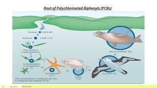 21 4/22/2021 Add a footer
Rout of Polychlorinated Biphenyls (PCBs)
 