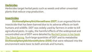 24 4/22/2021 Add a footer
Herbicides
Herbicides target herbal pests such as weeds and other unwanted
plants that reduce crop production.
Insecticides
Dichlorodiphenyltrichloroethane (DDT) is an organochlorine
insecticide that has been banned due to its adverse effects on both
humans and wildlife. DDT was widely used by farmers in order to kill
agricultural pests. In 1962, the harmful effects of the widespread and
uncontrolled use of DDT were detailed by Rachel Carson in her book
The Silent Spring. Such large quantities of DDT and its metabolite
Dichlorodiphenyldichloroethylene (DDE) that were released into the
environment were toxic to both animals and humans.
 