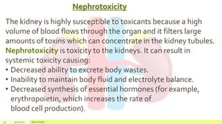 Nephrotoxicity
35 4/22/2021 Add a footer
The kidney is highly susceptible to toxicants because a high
volume of blood flows through the organ and it filters large
amounts of toxins which can concentrate in the kidney tubules.
Nephrotoxicity is toxicity to the kidneys. It can result in
systemic toxicity causing:
• Decreased ability to excrete body wastes.
• Inability to maintain body fluid and electrolyte balance.
• Decreased synthesis of essential hormones (for example,
erythropoietin, which increases the rate of
blood cell production).
 