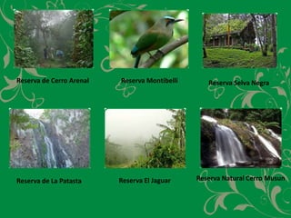 Reserva de Cerro ArenalReserva MontibelliReserva Selva NegraReserva Natural Cerro MusunReserva El JaguarReserva de La Patasta