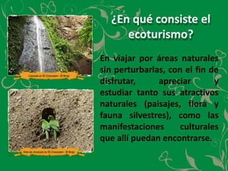 ¿En qué consiste el ecoturismo?En viajar por áreas naturales sin perturbarlas, con el fin de disfrutar, apreciar yestudiar tanto sus atractivos naturales (paisajes, flora y fauna silvestres), como las manifestaciones culturales que allí puedan encontrarse.