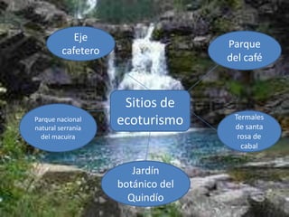 Jardín botánico del Quindío El Jardín Botánico del Quindío es un parque  no gubernamental, sin ánimo de lucro, de carácter científico y cultural, cuya personería jurídica le fue otorgada por la Gobernación de1 Quindío, por medio de la Resolución No.OJ 037 del 5 de junio de 1979. Ubicación: el jardín botánico del Quindío esta ubicado en la Cámara de Comercio de Armenia
