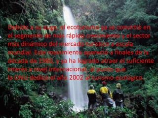 Debido a su auge, el ecoturismo ya se convirtió en
el segmento de más rápido crecimiento y el sector
más dinámico del mercado turístico a escala
mundial. Este movimiento apareció a finales de la
década de 1980, y ya ha logrado atraer el suficiente
interés a nivel internacional, al punto que
la ONU dedicó el año 2002 al turismo ecológico.
 