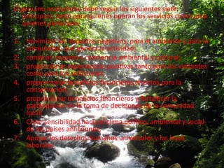 El genuino ecoturismo debe seguir los siguientes siete
   principios, tanto para quienes operan los servicios como para
   quienes participan:

1. minimizar los impactos negativos, para el ambiente y para la
   comunidad, que genera la actividad;
2. construir respeto y conciencia ambiental y cultural;
3. proporcionar experiencias positivas tanto para los visitantes
   como para los anfitriones;
4. proporcionar beneficios financieros directos para la
   conservación;
5. proporcionar beneficios financieros y fortalecer la
   participación en la toma de decisiones de la comunidad
   local;
6. Crear sensibilidad hacia el clima político, ambiental y social
   de los países anfitriones;
7. Apoyar los derechos humanos universales y las leyes
   laborales.
 