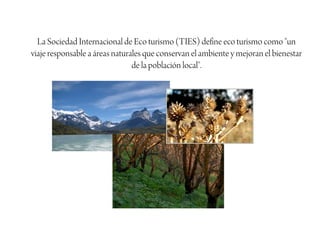 La Sociedad Internacional de Eco turismo (TIES) define eco turismo como "un
viaje responsable a áreas naturales que conservan el ambiente y mejoran el bienestar
                                de la población local".
 