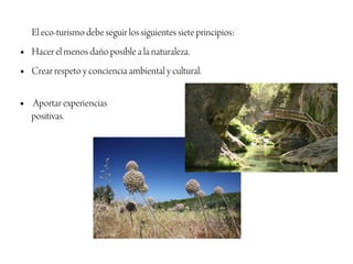 El eco-turismo debe seguir los siguientes siete principios:
●   Hacer el menos daño posible a la naturaleza.
●   Crear respeto y conciencia ambiental y cultural.

●   Aportar experiencias
    positivas.
 