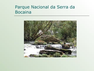 Parque Nacional da Serra da Bocaina 
