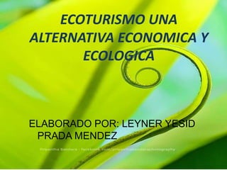 ECOTURISMO UNA 
ALTERNATIVA ECONOMICA Y 
ECOLOGICA 
ELABORADO POR: LEYNER YESID 
PRADA MENDEZ 
 