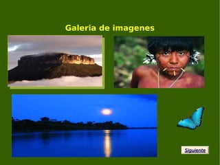 Galeria de imagenes
SiguienteSiguiente
 
