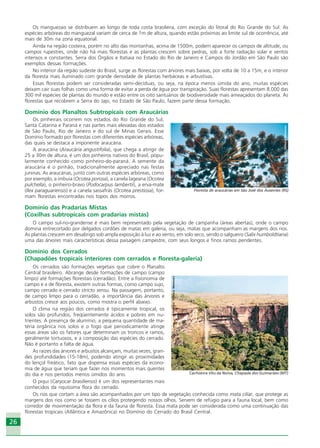 2626
Os manguezais se distribuem ao longo de toda costa brasileira, com exceção do litoral do Rio Grande do Sul. As
espécies arbóreas do manguezal variam de cerca de 1m de altura, quando estão próximas ao limite sul de ocorrência, até
mais de 30m na zona equatorial.
Ainda na região costeira, porém no alto das montanhas, acima de 1500m, podem aparecer os campos de altitude, ou
campos rupestres, onde não há mais florestas e as plantas crescem sobre pedras, sob a forte radiação solar e ventos
intensos e constantes. Serra dos Órgãos e Itatiaia no Estado do Rio de Janeiro e Campos do Jordão em São Paulo são
exemplos dessas formações.
No interior da região sudeste do Brasil, surge as florestas com árvores mais baixas, por volta de 10 a 15m, e o interior
da floresta mais iluminado com grande densidade de plantas herbáceas e arbustivas.
Essas florestas podem ser consideradas semi-decíduas, ou seja, na época menos úmida do ano, muitas espécies
deixam cair suas folhas como uma forma de evitar a perda de água por transpiração. Suas florestas apresentam 8.000 das
300 mil espécies de plantas do mundo e estão entre os oito santuários de biodiversidade mais ameaçados do planeta. As
florestas que recobrem a Serra do Japi, no Estado de São Paulo, fazem parte dessa formação.
Domínio dos Planaltos Subtropicais com Araucárias
Os pinheirais ocorrem nos estados do Rio Grande do Sul,
Santa Catarina e Paraná e nas partes mais elevadas dos estados
de São Paulo, Rio de Janeiro e do sul de Minas Gerais. Esse
Domínio formado por florestas com diferentes espécies arbóreas,
das quais se destaca a imponente araucária.
A araucária (Araucária angustifolia), que chega a atingir de
25 a 30m de altura, é um dos pinheiros nativos do Brasil, popu-
larmente conhecido como pinheiro-do-paraná. A semente da
araucária é o pinhão, tradicionalmente apreciado nas festas
juninas. As araucárias, junto com outras espécies arbóreas, como
por exemplo, a imbuia (Ocotea porosa), a canela lageana (Ocotea
pulchella), o pinheiro-bravo (Podocarpus lambertii), a erva-mate
(Ilex paraguariensis) e a canela sassafrás (Ocotea prestiosa), for-
mam florestas encontradas nos topos dos morros.
Domínio das Pradarias Mistas
(Coxilhas subtropicais com pradarias mistas)
O campo sul-rio-grandense é mais bem representado pela vegetação de campanha (áreas abertas), onde o campo
domina entrecortado por delgados cordões de matas em galeria, ou seja, matas que acompanham as margens dos rios.
As plantas crescem em desabrigo sob ampla exposição à luz e ao vento, em solo seco, sendo o salgueiro (Salix humboldtiana)
uma das árvores mais características dessa paisagem campestre, com seus longos e finos ramos pendentes.
Domínio dos Cerrados
(Chapadões tropicais interiores com cerrados e floresta-galeria)
Os cerrados são formações vegetais que cobre o Planalto
Central brasileiro. Abrange desde formações de campo (campo
limpo) até formações florestais (cerradão). Entre a fisionomia de
campo e a de floresta, existem outras formas, como campo sujo,
campo cerrado e cerrado stricto sensu. Na passagem, portanto,
de campo limpo para o cerradão, a importância das árvores e
arbustos cresce aos poucos, como mostra o perfil abaixo.
O clima na região dos cerrados é tipicamente tropical, os
solos são profundos, freqüentemente ácidos e pobres em nu-
trientes. A presença de alumínio, a pequena quantidade de ma-
téria orgânica nos solos e o fogo que periodicamente atinge
essas áreas são os fatores que determinam os troncos e ramos,
geralmente tortuosos, e a composição das espécies do cerrado.
Não é portanto a falta de água.
As raízes das árvores e arbustos alcançam, muitas vezes, gran-
des profundidades (15-18m), podendo atingir as proximidades
do lençol freático, fato que dispensa essas espécies da econo-
mia de água que teriam que fazer nos momentos mais quentes
do dia e nos períodos menos úmidos do ano.
O piqui (Caryocar brasiliensis) é um dos representantes mais
conhecidos da riquíssima flora do cerrado.
Os rios que cortam a área são acompanhados por um tipo de vegetação conhecida como mata ciliar, que protege as
margens dos rios como se fossem os cílios protegendo nossos olhos. Servem de refúgio para a fauna local, bem como
corredor de movimentação da flora e da fauna de floresta. Essa mata pode ser considerada como uma continuação das
florestas tropicais (Atlântica e Amazônica) no Domínio do Cerrado do Brasil Central.
Crédito:DéboraMenezes
Cachoeira Véu da Noiva, Chapada dos Guimarães (MT)
Crédito:DéboraMenezes
Floresta de araucárias em São José dos Ausentes (RS)
Ecoturismo_Sil.P65 26/3/2007, 13:4926
 