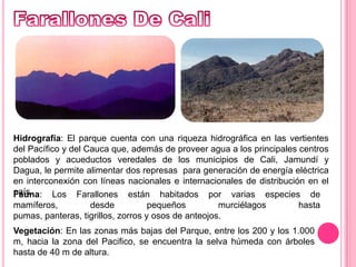 Farallones De CaliHidrografía: El parque cuenta con una riqueza hidrográfica en las vertientes del Pacífico y del Cauca que, además de proveer agua a los principales centros poblados y acueductos veredales de los municipios de Cali, Jamundí y Dagua, le permite alimentar dos represas  para generación de energía eléctrica en interconexión con líneas nacionales e internacionales de distribución en el país.Fauna: Los Farallones están habitados por varias especies de mamíferos, desde pequeños murciélagos hasta pumas, panteras, tigrillos, zorros y osos de anteojos. Vegetación: En las zonas más bajas del Parque, entre los 200 y los 1.000 m, hacia la zona del Pacifico, se encuentra la selva húmeda con árboles hasta de 40 m de altura.